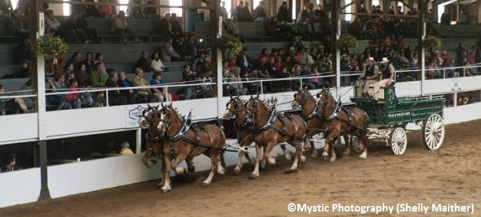 Villieu-Loyes-Mollon. Endurance quad : du show et de la poussière